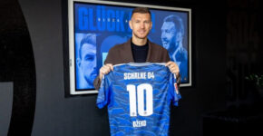 Edin Džeko / Schalke04