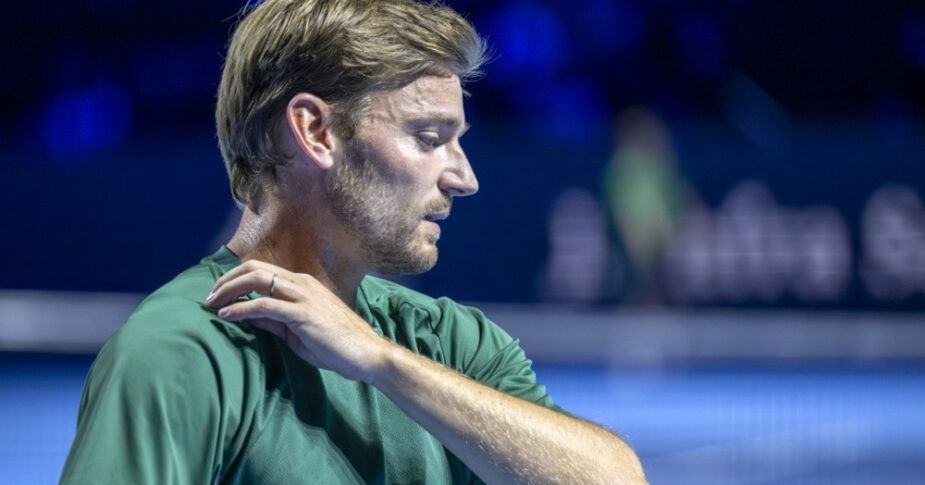 David Goffin