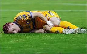Marcelo Flores
